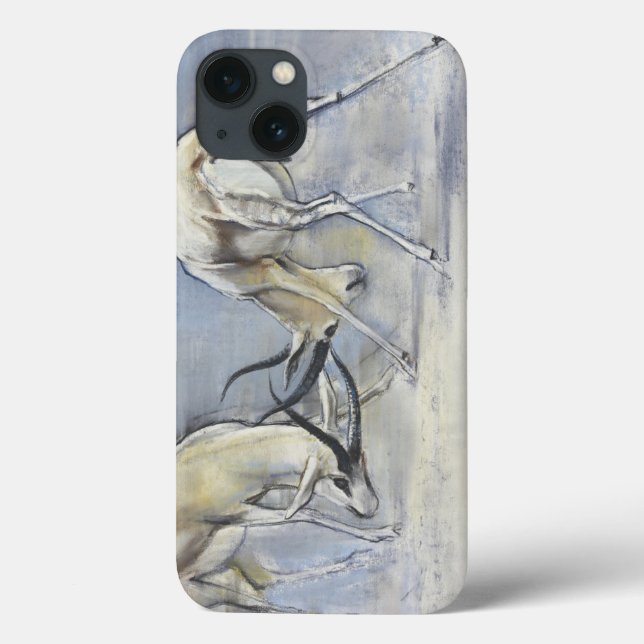 Sand Gazelles 2009  3 Case-Mate iPhone Case (Back)