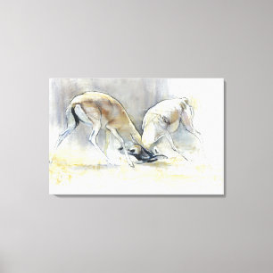 Sand Gazelles 2009  4 Canvas Print