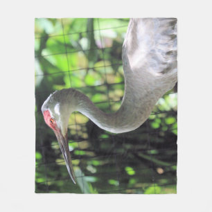 Sand hill crane fleece blanket