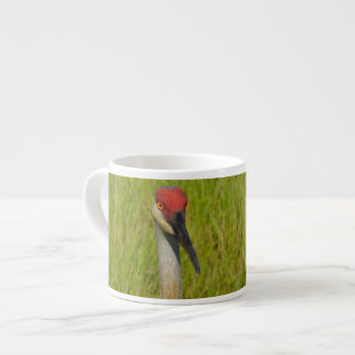 Sand Hill Crane Looking At Camera Espresso Cup