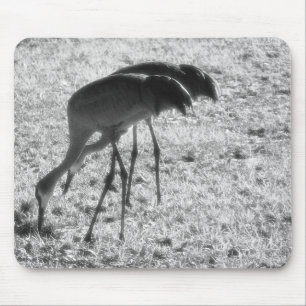 Sand Hill Cranes Mouse Pad