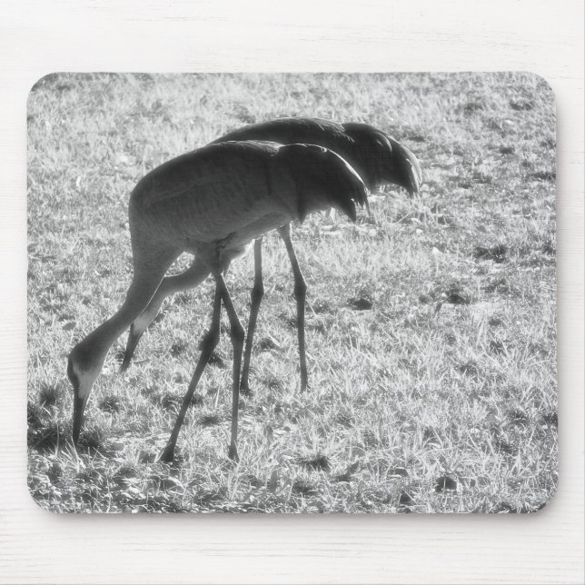 Sand Hill Cranes Mouse Pad (Front)