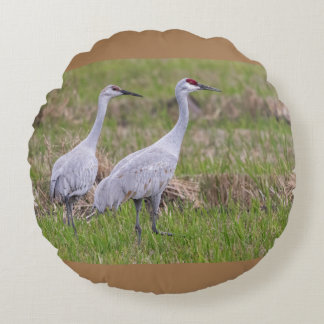 Sand Hill Cranes Pillow