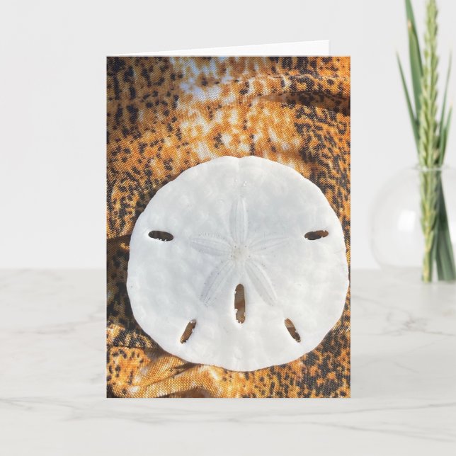 Sand Holiday Card (Front)