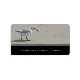 Sand Piper Address Labels