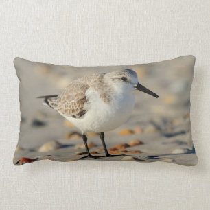 Sand Piper and Seashells Lumbar Cushion