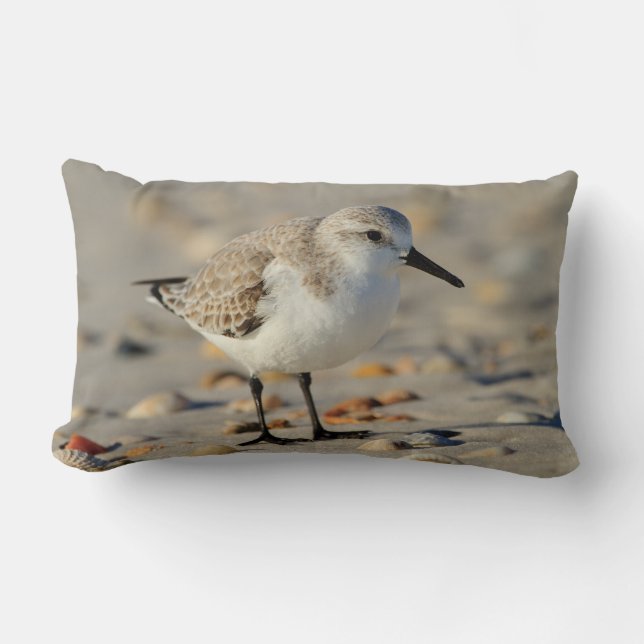 Sand Piper and Seashells Lumbar Cushion (Front)