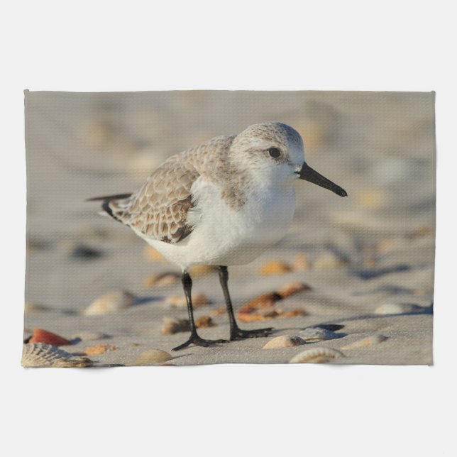 Sand Piper and Seashells Tea Towel (Horizontal)