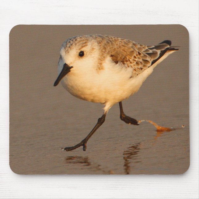 Sand Piper Mouse Pad (Front)