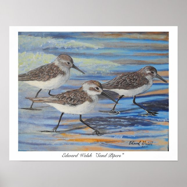 Sand Piper poster print (Front)