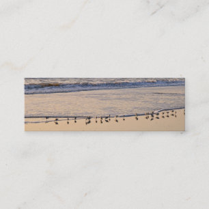 Sand Pipers nibbling breakfast in the waves Mini Business Card
