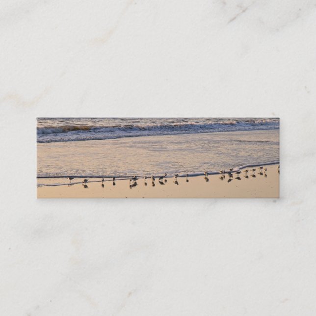 Sand Pipers nibbling breakfast in the waves Mini Business Card (Front)