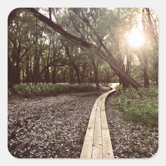 sand point trail minnesota square sticker (Front)