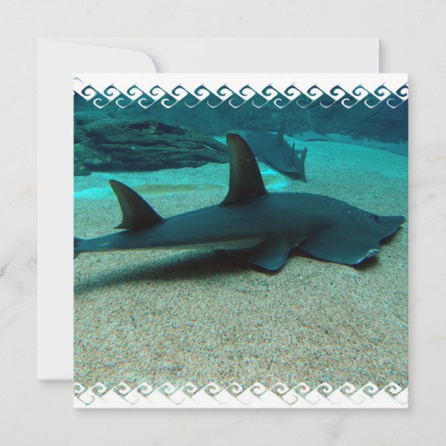 Sand Shark Invitations (Front)