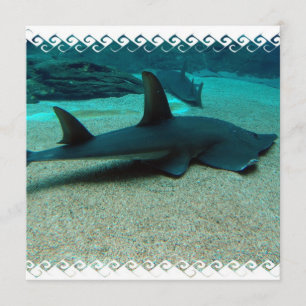 Sand Shark Invitations