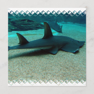 Sand Shark Invitations