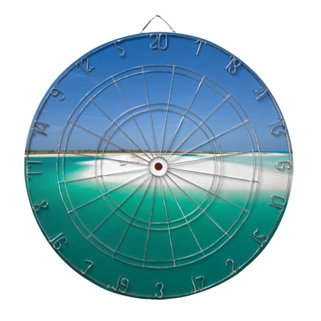 Sand spit dartboard (Front)