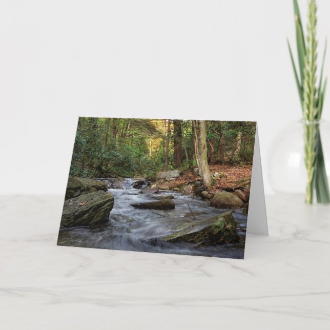 Sand Spring Run, Hickory Run State Park Card (Front)