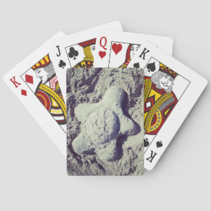 Sand Turtle Playing Cards
