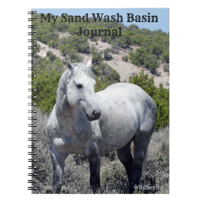 Sand Wash Basin Journal (Front)