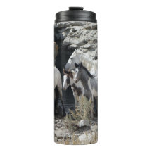 Sand Wash Basin Rock Cut Waterhole