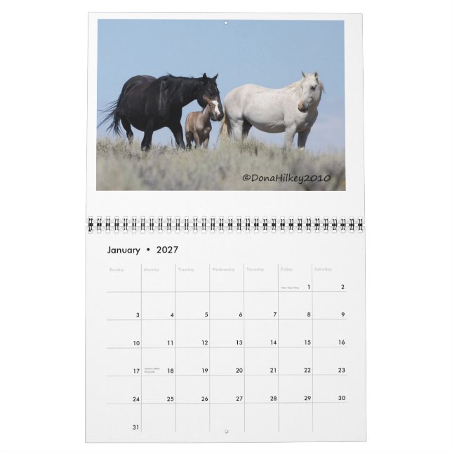 Sand Wash Basin Wild Horse Calander Calendar (Jan 2027)