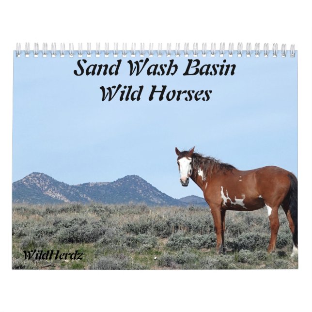 Sand Wash Basin Wild Horses Calendar (Cover)