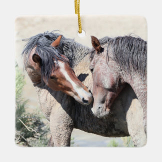 Sand Wash Basin Wild Horses Ceramic Ornament