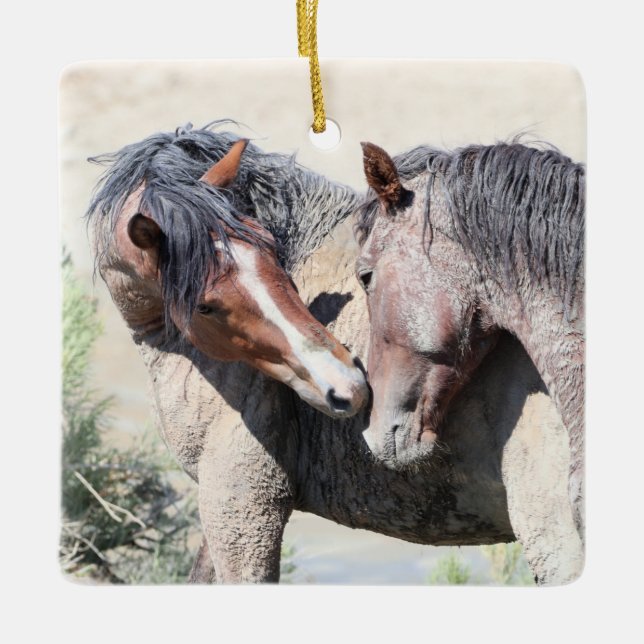 Sand Wash Basin Wild Horses Ceramic Ornament (Front)
