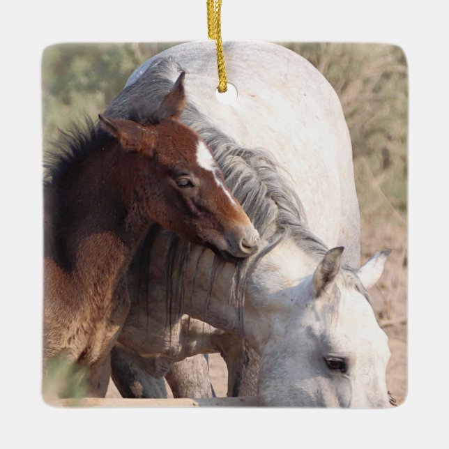 Sand Wash Basin Wild Horses Ceramic Ornament (Front)