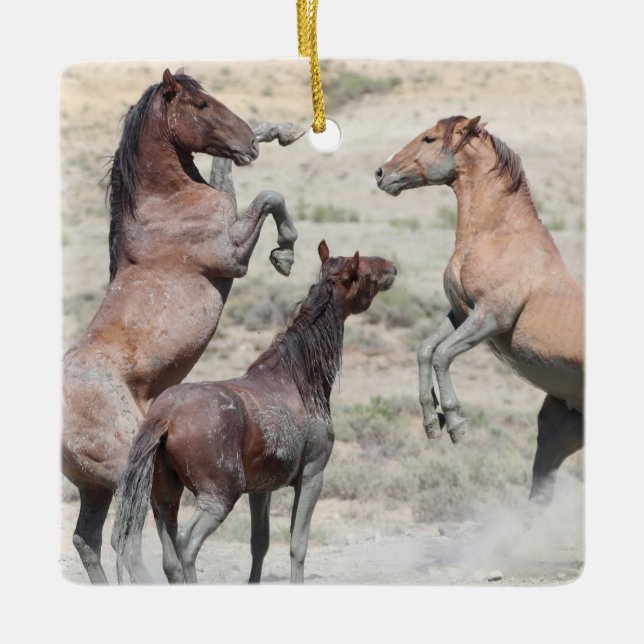 Sand Wash Basin Wild Horses Ceramic Ornament (Front)