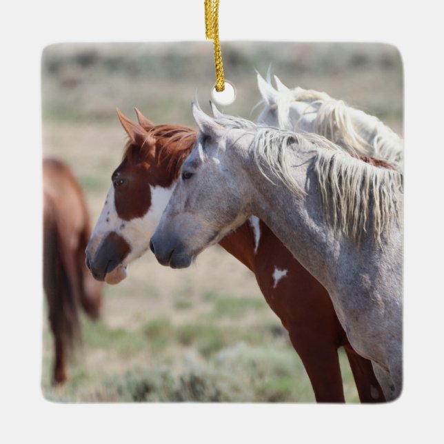 Sand Wash Basin Wild Horses Ceramic Ornament (Front)