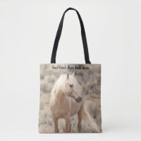 Sand Wash Basin Wild Horses
