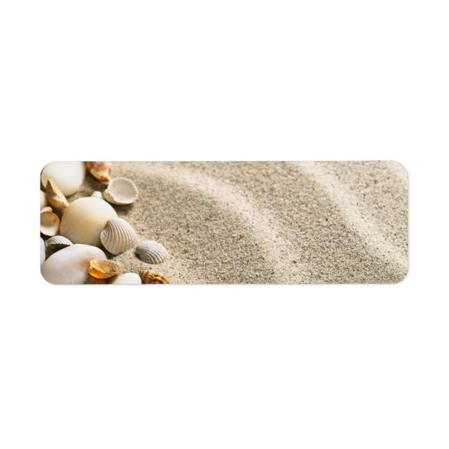Sand With Shells And Stones. Beach Composition (Front)