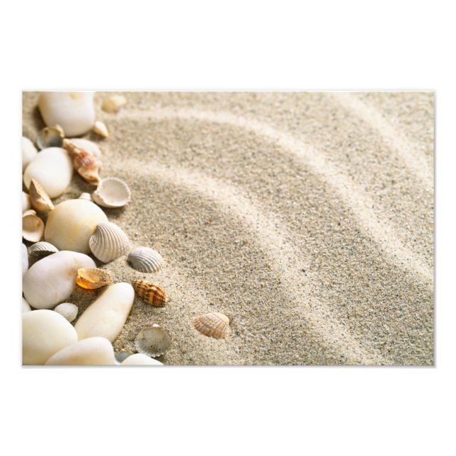 Sand With Shells And Stones. Beach Composition Photo Print (Front)