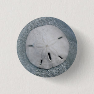 Sanddollar on Beach Sanibel Island, Florida 3 Cm Round Badge