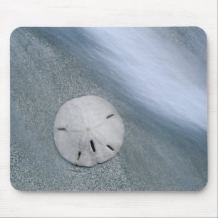 Sanddollar on Beach Sanibel Island, Florida Mouse Pad