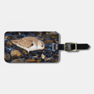 Sanderling Dining on Clam Luggage Tag