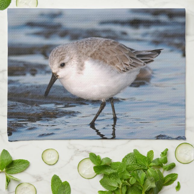 Sanderling Strolling on a Winter Beach Tea Towel (Folded)