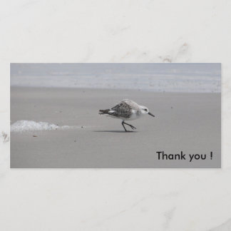 Sanderling, Thank you ! Card