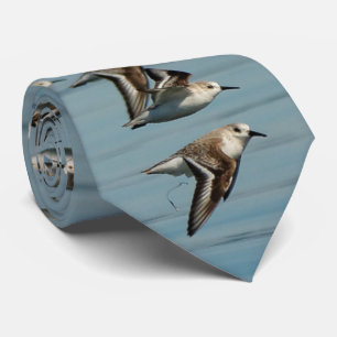 Sanderlings Takes Flight in the Winter Skies Tie