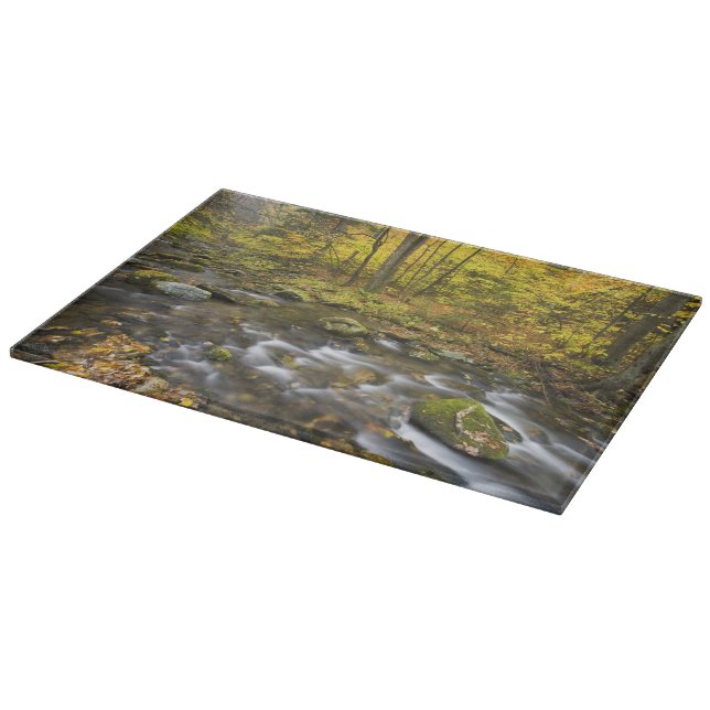 Sanderson Brook.  Chester-Blanford State Forest. Cutting Board (Corner)