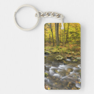 Sanderson Brook. Chester-Blanford State Forest. Key Ring