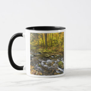 Sanderson Brook. Chester-Blanford State Forest. Mug