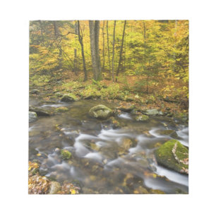 Sanderson Brook. Chester-Blanford State Forest. Notepad