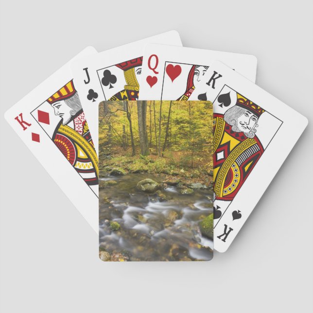 Sanderson Brook.  Chester-Blanford State Forest. Playing Cards (Back)