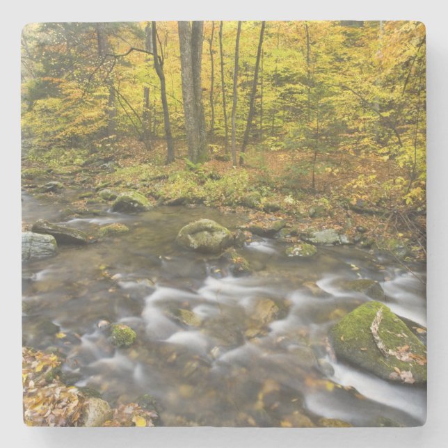 Sanderson Brook.  Chester-Blanford State Forest. Stone Coaster (Front)
