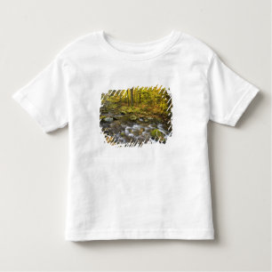 Sanderson Brook. Chester-Blanford State Forest. Toddler T-Shirt