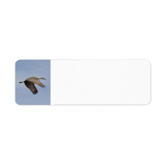 Sandhill Crane address label