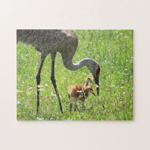 Sandhill Crane and Colts Jigsaw Puzzle